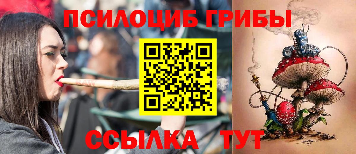 хочу наркоту  Вход с VPN  Рязань  Галлюциногенные грибы Cubensis 